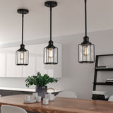 1-Light Birdcage Shape Pendant Light, Matte Black Finish, Clear Glass Shade, E26 Base, UL Listed