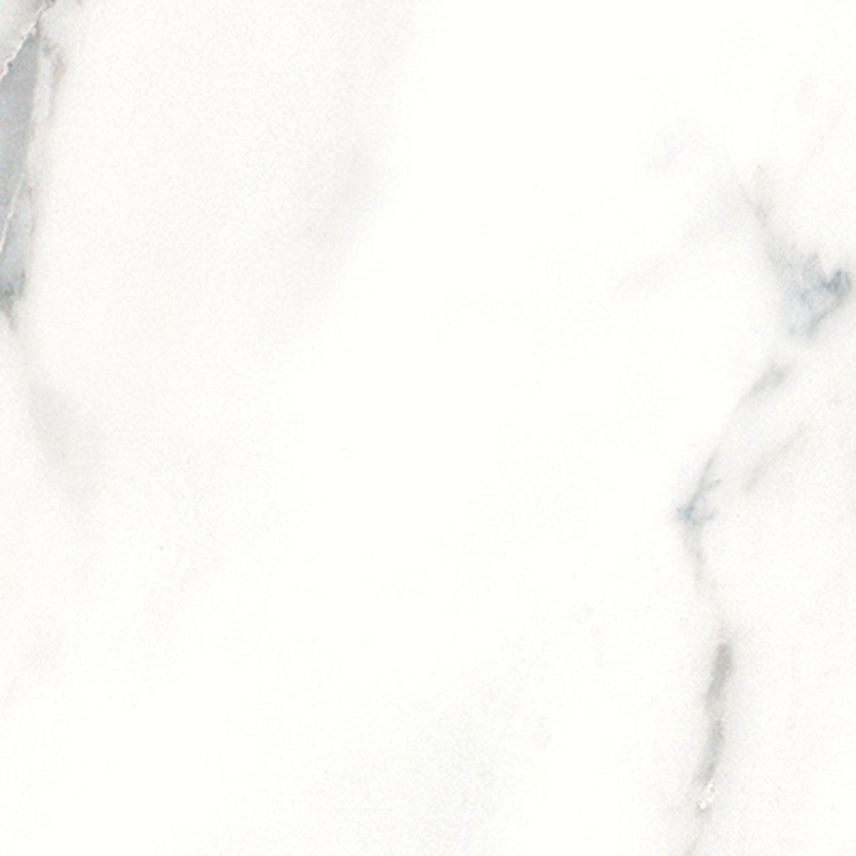 12 X 12 In Classic Calacatta Matte Pressed Glazed Porcelain