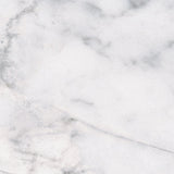 12 X 12 In Classic Carrara Matte Pressed Glazed Porcelain