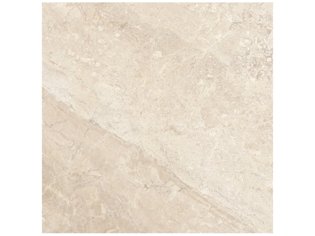12 X 12 In Impero Reale Honed Marble