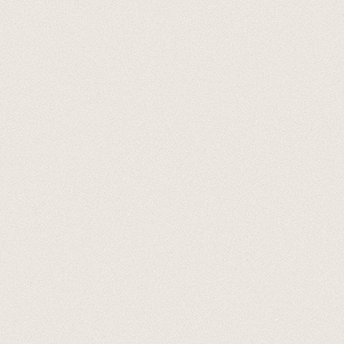 12 X 12 In Prima Warm White Matte Rectified Unglazed Porcelain