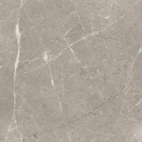 12 X 12 In Ritz Gray Honed Marble