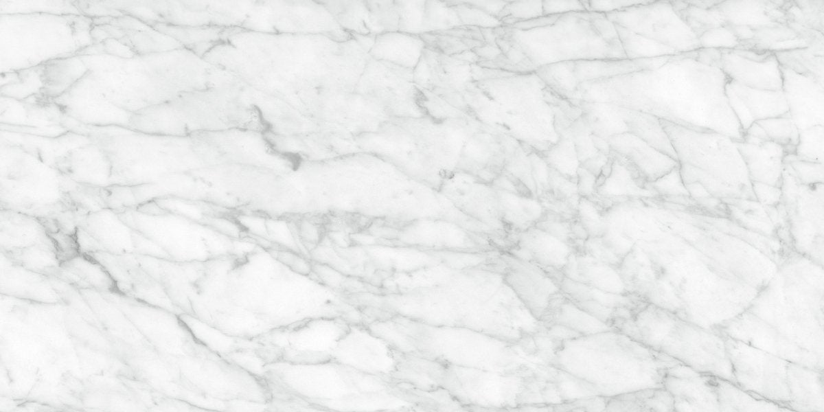 12 x 24 in. La Marca Carrara Gioia Honed Rectified Glazed Porcelain Wall Tile