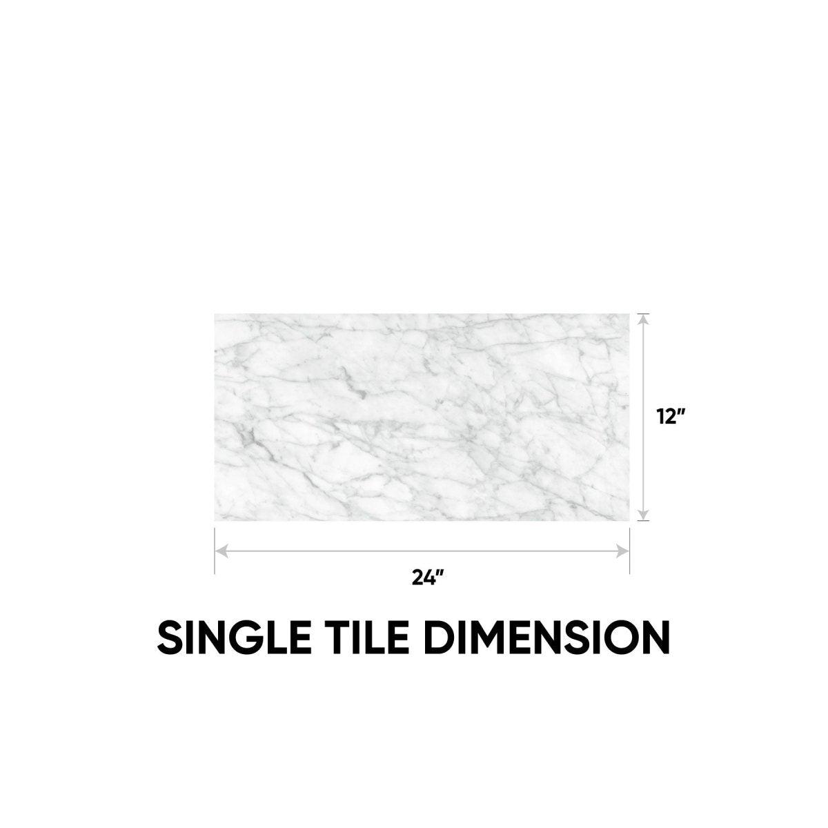 12 x 24 in. La Marca Carrara Gioia Honed Rectified Glazed Porcelain Wall Tile