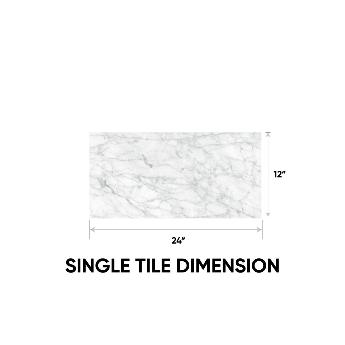 12 x 24 in. La Marca Carrara Gioia Polished Rectified Glazed Porcelain Wall Tile