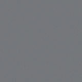 12 x 24 in Prima Mica Polished Rectified Unglazed Porcelain Tile