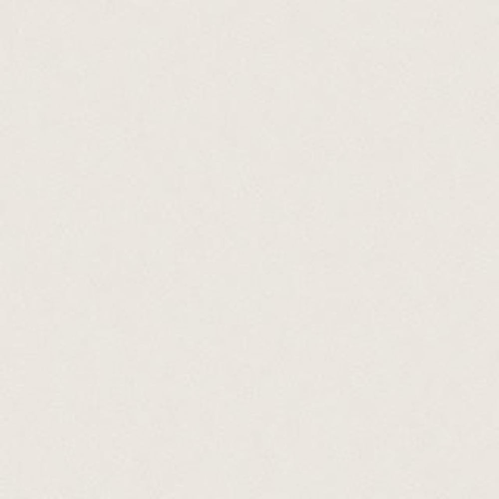 12 x 24 in Prima Warm White Polished Rectified Unglazed Porcelain Tile
