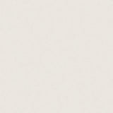 12 x 24 in Prima Warm White Polished Rectified Unglazed Porcelain Tile