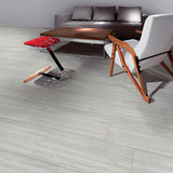 12 X 24 In Zera Annex Silver Matte Rectified Color Body Porcelain