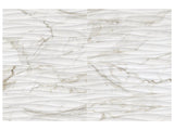 12 X 36 In Curva Raffino Calacatta Matte Rectified Glazed Ceramic