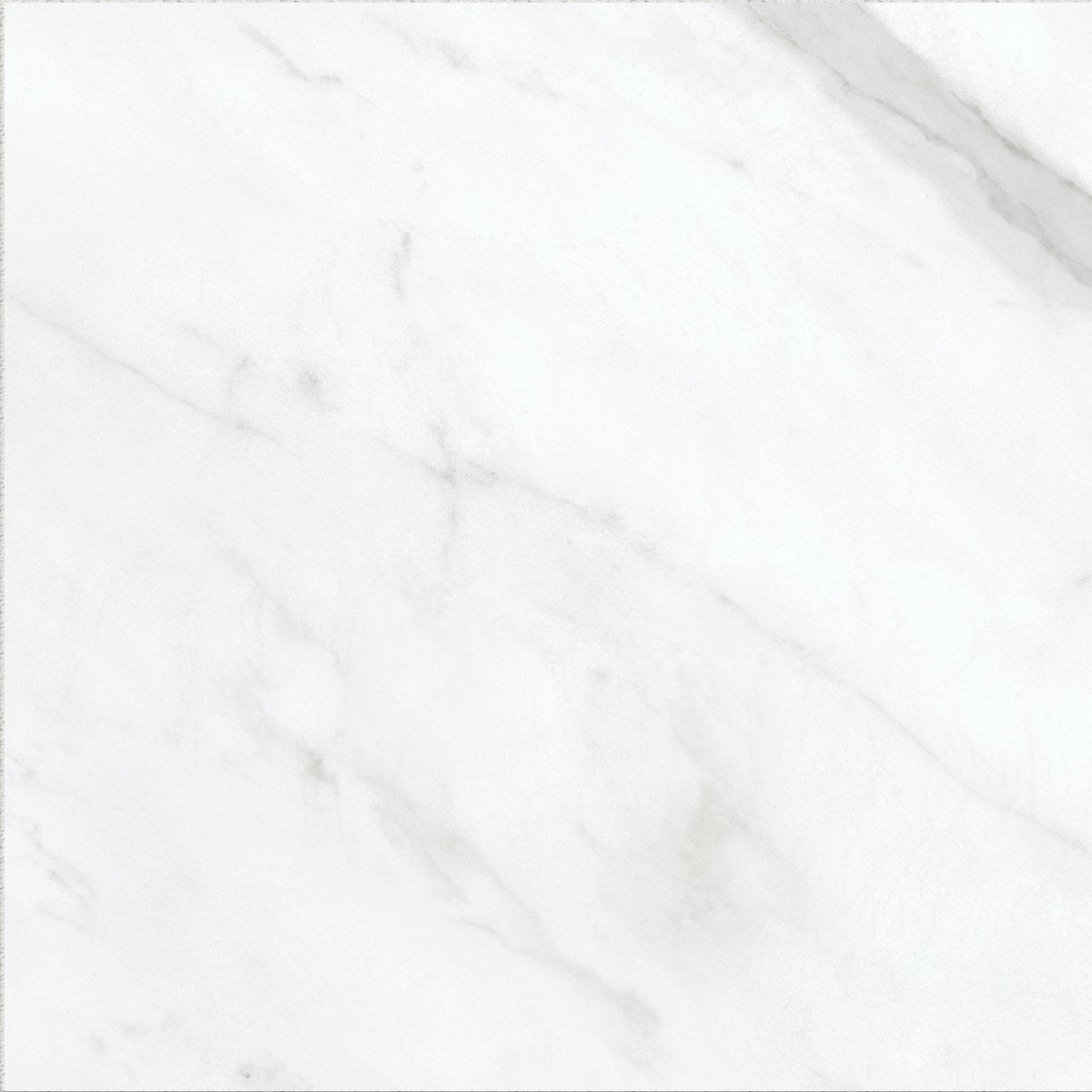 13 X 13 In Altezza Carrara Matte Pressed Glazed Porcelain