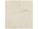 13 X 13 In Bellina Cream Matte Pressed Glazed Ceramic