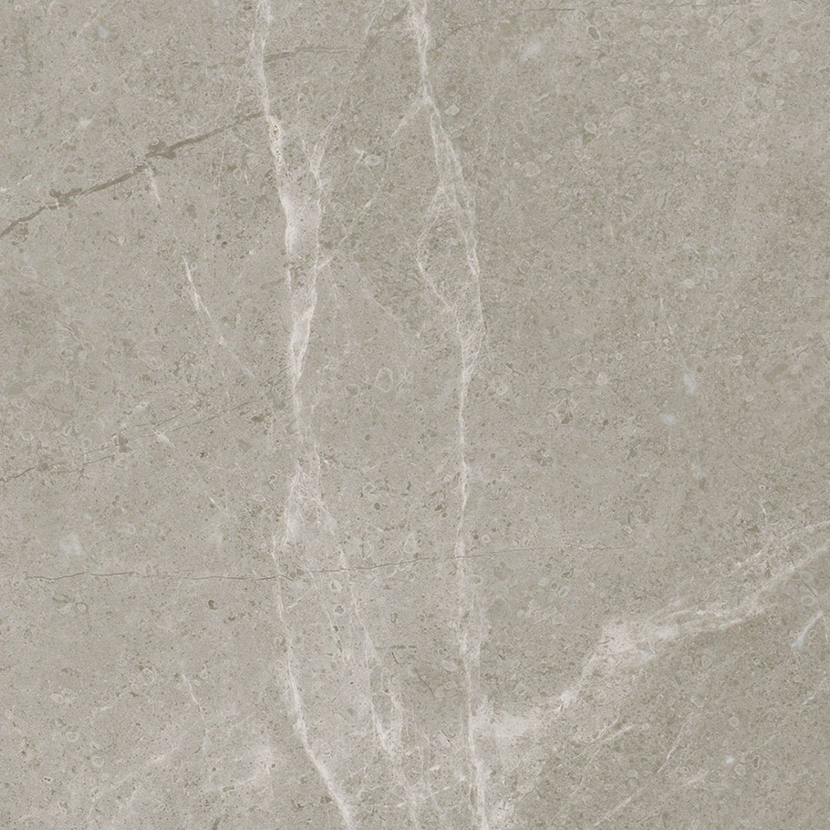 13 X 13 In Torino Vanizio Matte Pressed Glazed Porcelain