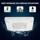 150 Watt LED Canopy Light, 5700K, 19000LM, AC100-277V, DLC Premium Recessed Surface Mount, For High Bay Carport, Gas Stations, Indoor Parking, Underpasses, Loading Docks, Outdoor Area Light
