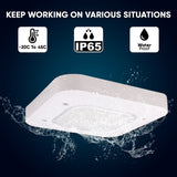 150W LED Canopy Light, 15600LM, 5700K, UL, Damp/Wet Locations, For Gas Stations, High Bay Carport, Indoor Parking, Underpasses, Loading Docks, Outdoor Area Light