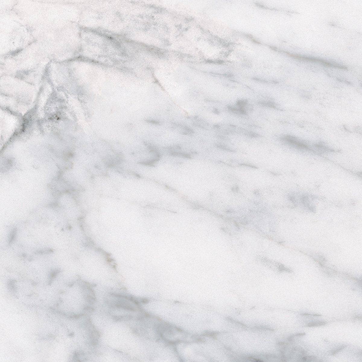 18 X 18 In Classic Carrara Matte Pressed Glazed Porcelain