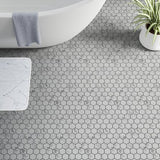 2 in. Plata Statuario Brina Hexagon Polished Glazed Porcelain Mosaic
