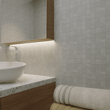 2 X 2 In Torino Argento Matte Glazed Porcelain Mosaic