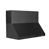 KUCHT 48 in. Professional Wall Mounted Range Hood 900CFM in Titanium Stainless Steel