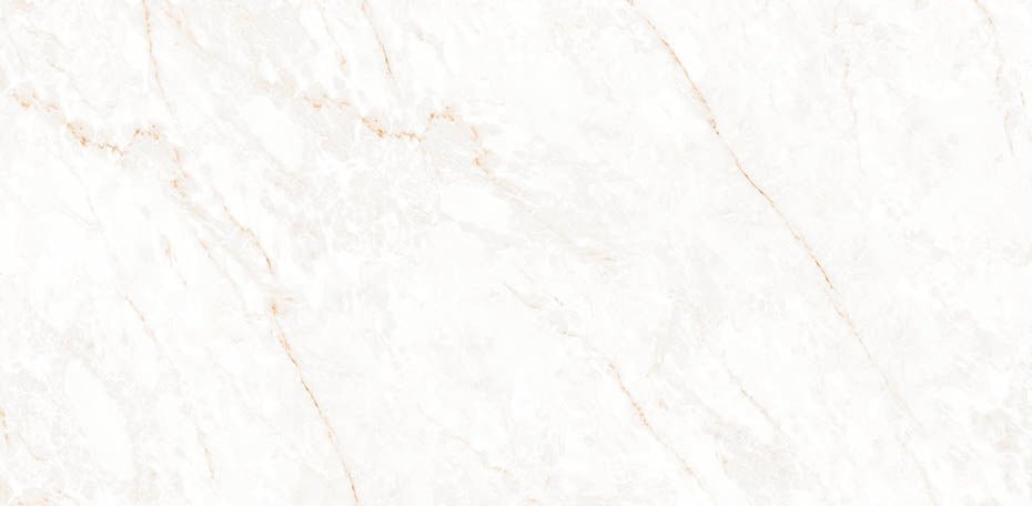 24 In. X 48 In. Calacatta Glam Polished - Porcelain Wall & Floor Tile (15.50 Sqft/Case)