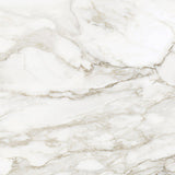 24 X 24 In La Marca Calacatta Honed Rectified Glazed Porcelain