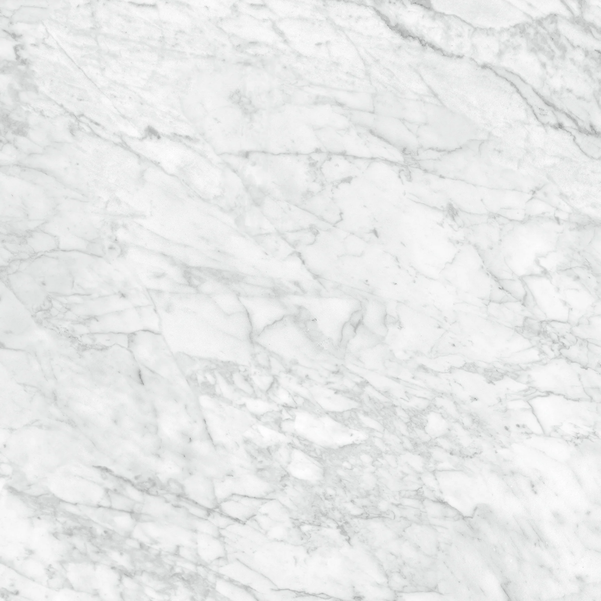 24 X 24 In La Marca Carrara Honed Rectified Glazed Porcelain