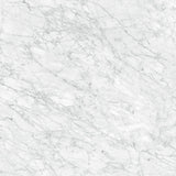 24 X 24 In La Marca Carrara Polished Rectified Glazed Porcelain