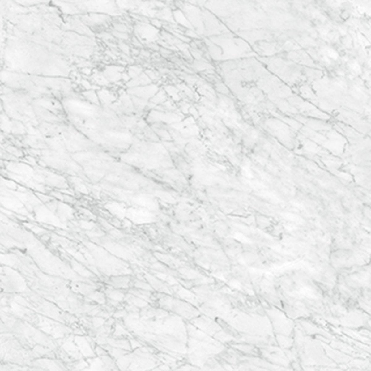 24 X 24 In La Marca Carrara Polished Rectified Glazed Porcelain