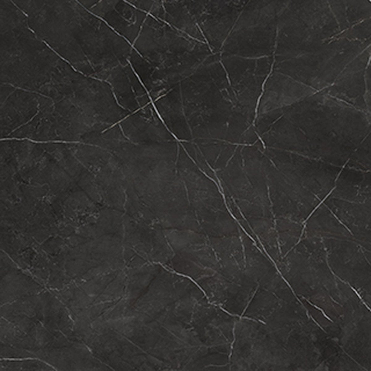 24 X 24 In La Marca Nero Venato Polished Rectified Glazed Porcelain