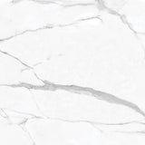 24 X 24 In La Marca Statuario Nuovo Polished Rectified Glazed Porcelain