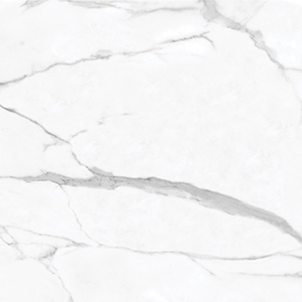24 X 24 In La Marca Statuario Nuovo Polished Rectified Glazed Porcelain