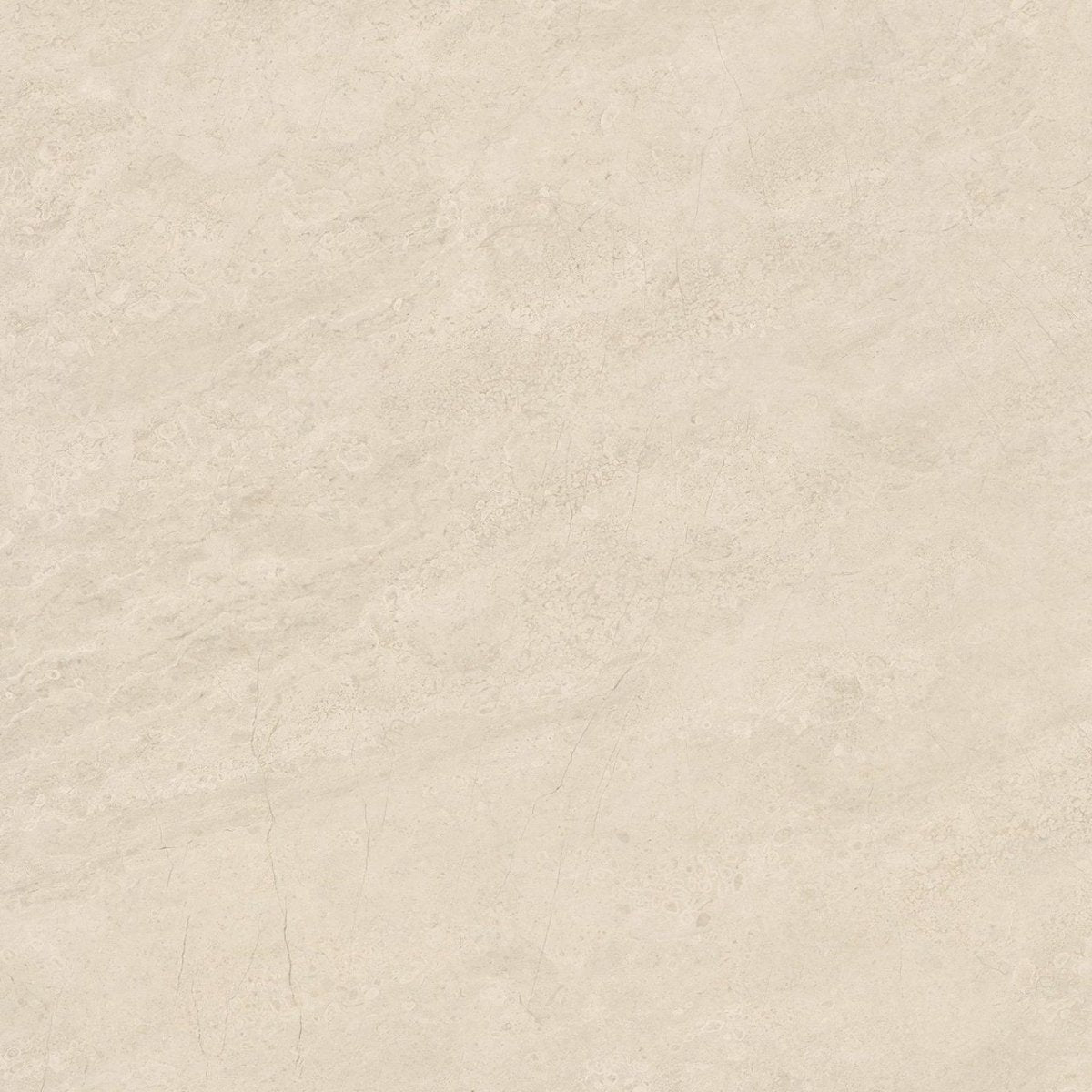 24 X 24 In Mayfair Allure Matte Rectified Glazed Porcelain