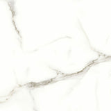 24 X 24 In Mayfair Calacatta Matte Rectified Glazed Porcelain