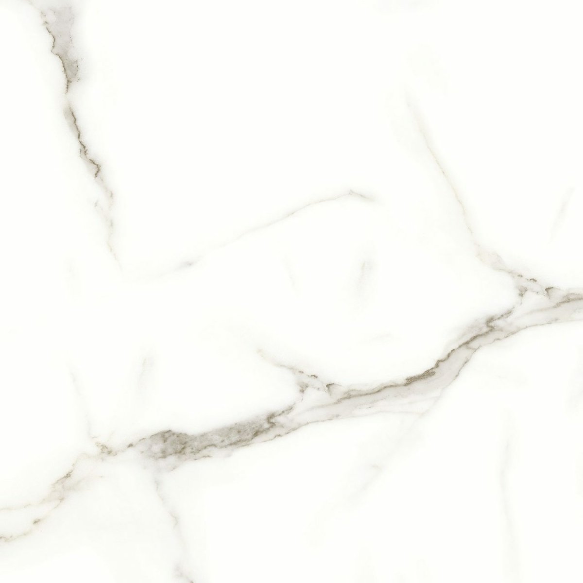24 X 24 In Mayfair Calacatta Matte Rectified Glazed Porcelain