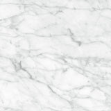 24 X 24 In Plata Carrara Polished Rectified Glazed Porcelain