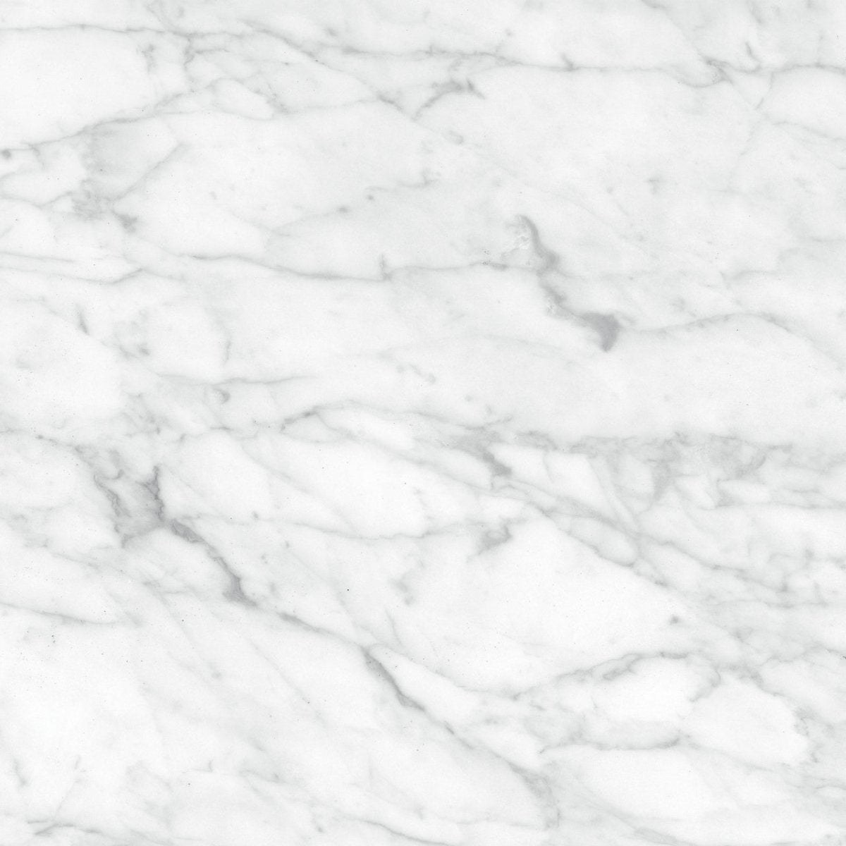 24 X 24 In Plata Carrara Polished Rectified Glazed Porcelain