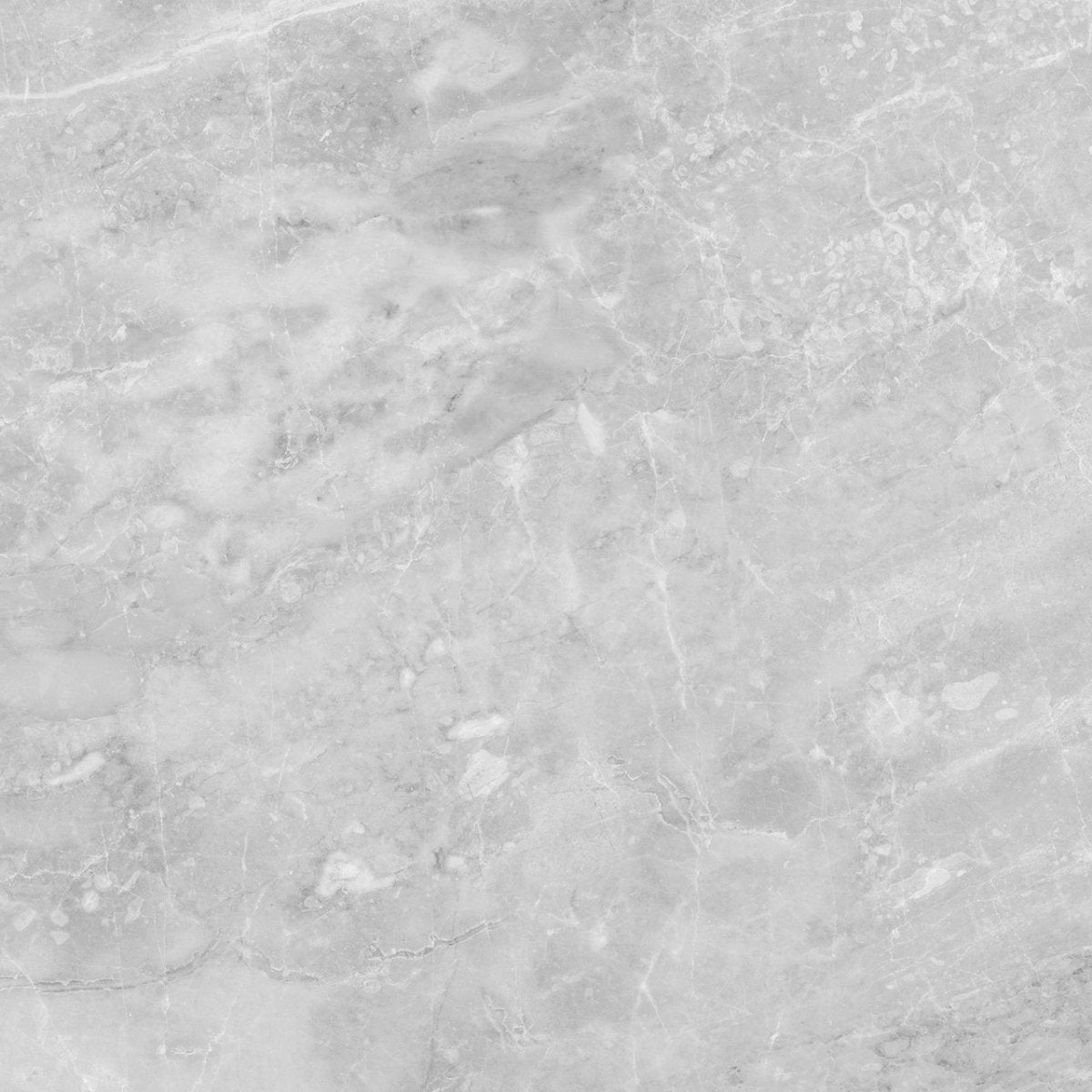 24 X 24 In Plata Perla Matte Rectified Glazed Porcelain