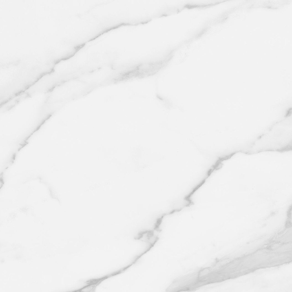 24 X 24 In Plata Statuario Matte Rectified Glazed Porcelain