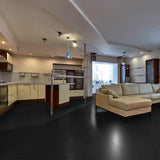 24 X 24 In Prima Charcoal Polished Rectified Unglazed Porcelain