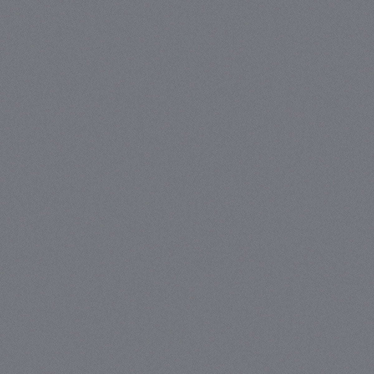 24 X 24 In Prima Mica/Smoke Polished Rectified Unglazed Porcelain