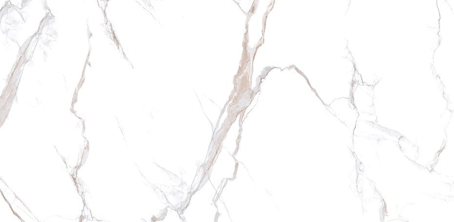 24" x 48" Calacatta Gold Polished Porcelain Wall & Floor Tile