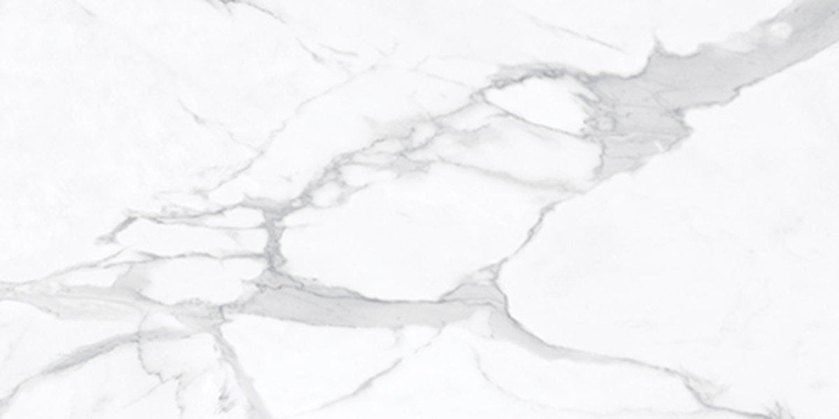 24 X 48 In La Marca Statuario Honed Rectified Glazed Porcelain