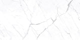 24 X 48 In Mayfair Statuario Polished Rectified Glazed Porcelain