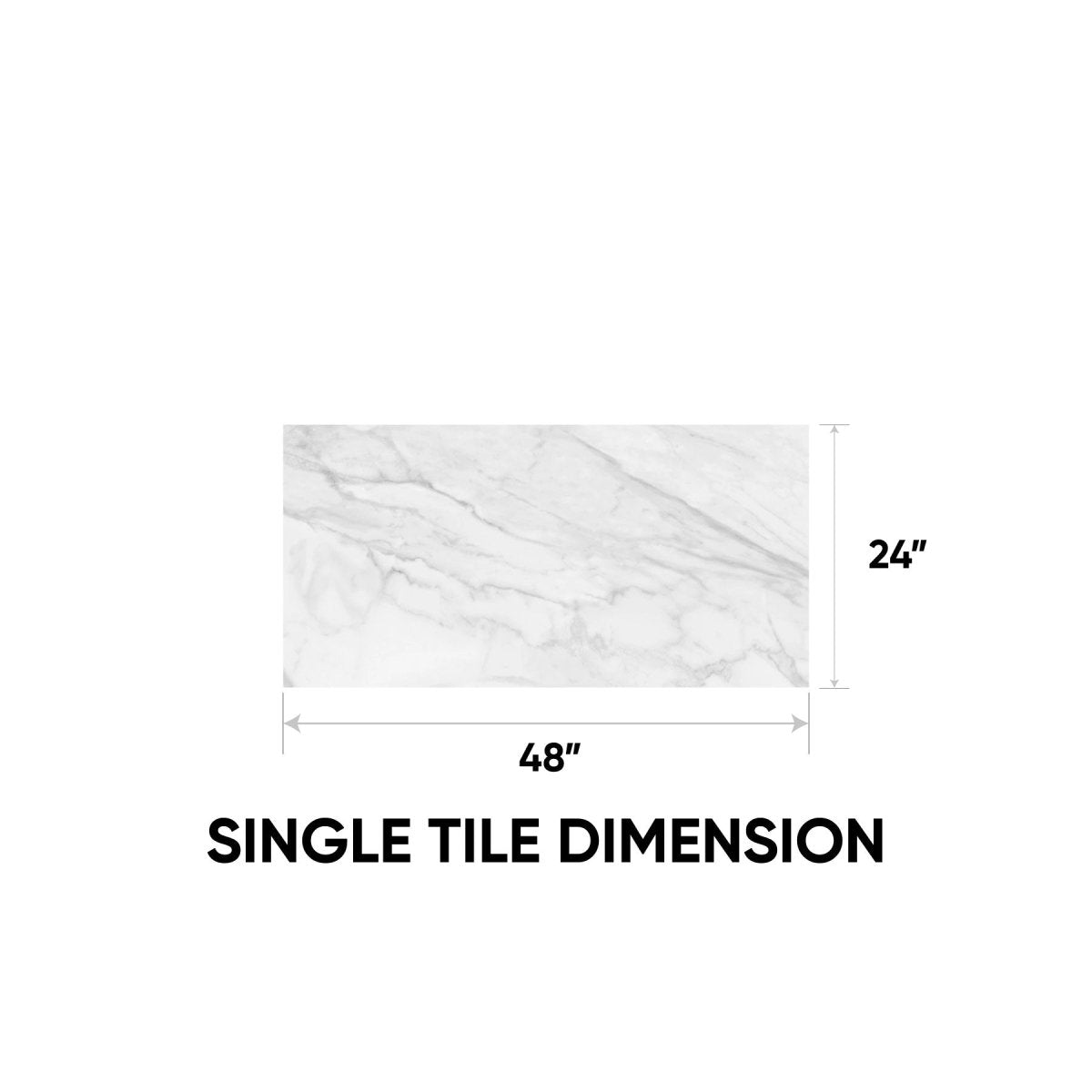 24 x 48 in. Plata Statuario Brina Polished Rectified Glazed Porcelain Wall Tile