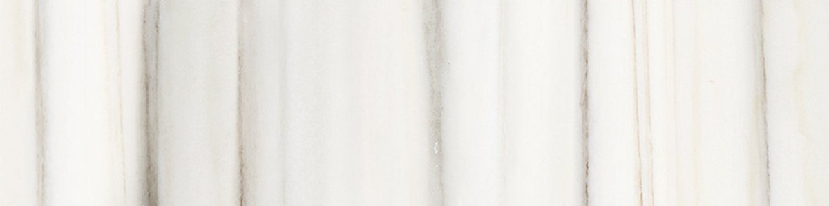 3 X 12 In Mayfair Zebrino Matte Glazed Porcelain Bullnose