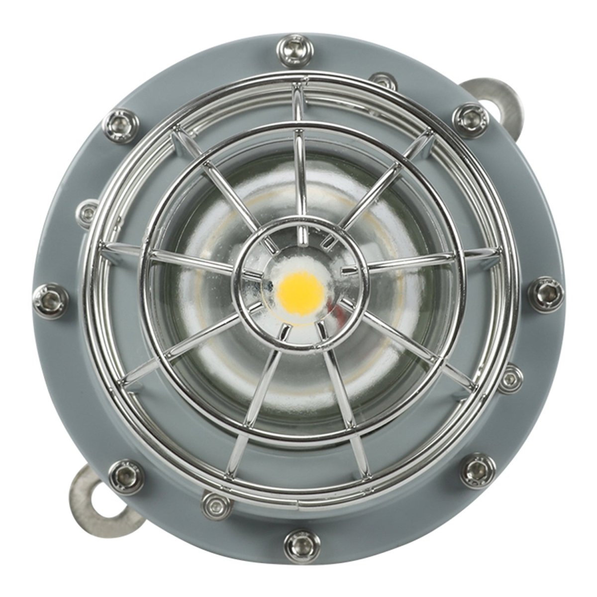 30 Watt LED Explosion Proof Jelly Jar Light, G Series, Dimmable, 5000K, 4050LM, AC100-277V, IP66, Hazardous Location Lighting Fixtures