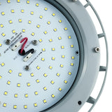 300 Watt LED Explosion Proof Round High Bay Light, B Series, Dimmable, 5000K, 42000LM, AC100-277V, IP66, Ideal for Oil & Gas Refineries, Drilling Rigs, Petrochemical Facilities