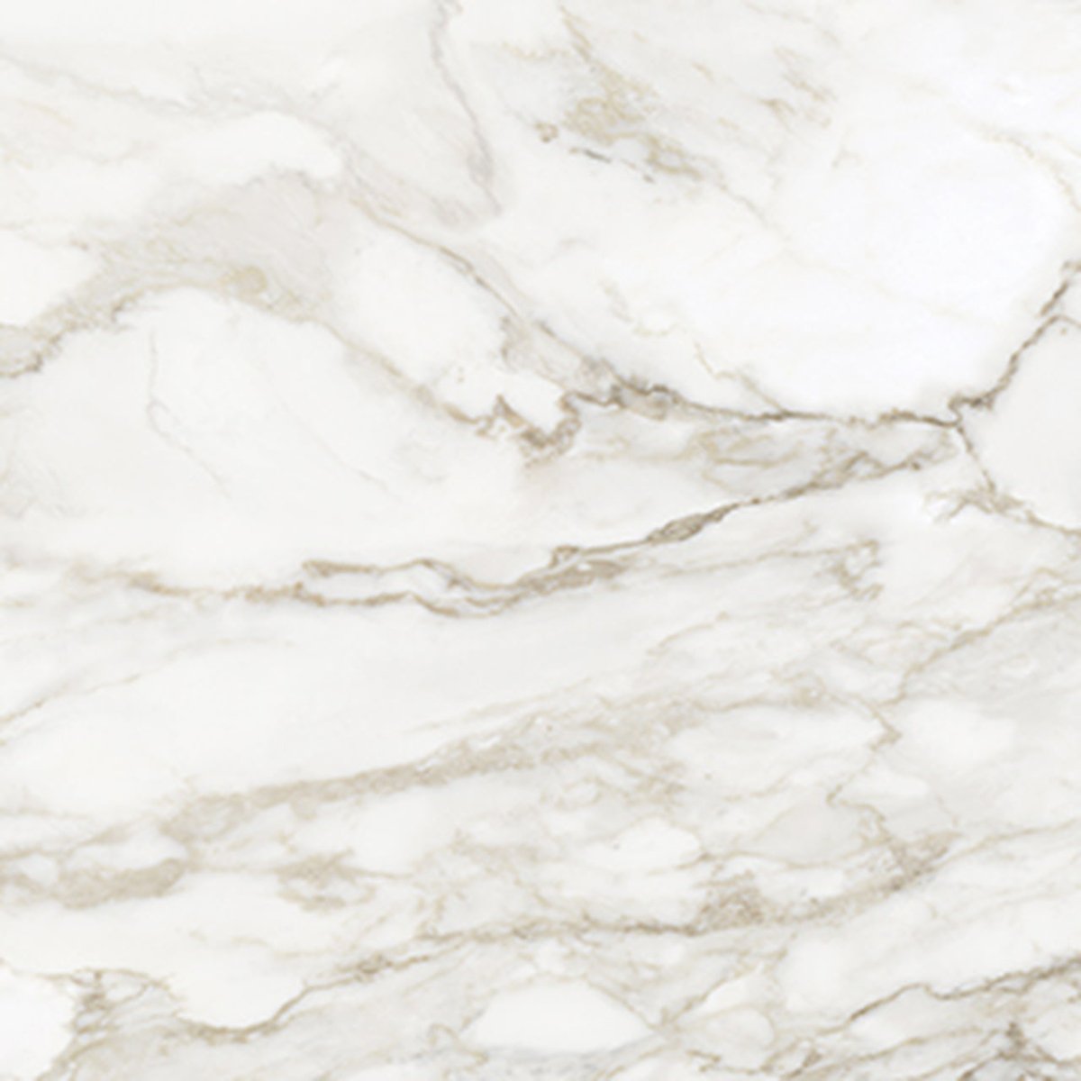 32 X 32 In La Marca Calacatta Honed Rectified Glazed Porcelain