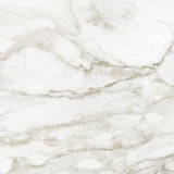 32 x 32 in. La Marca Calacatta Paonazzo Polished Rectified Glazed Porcelain Wall Tile