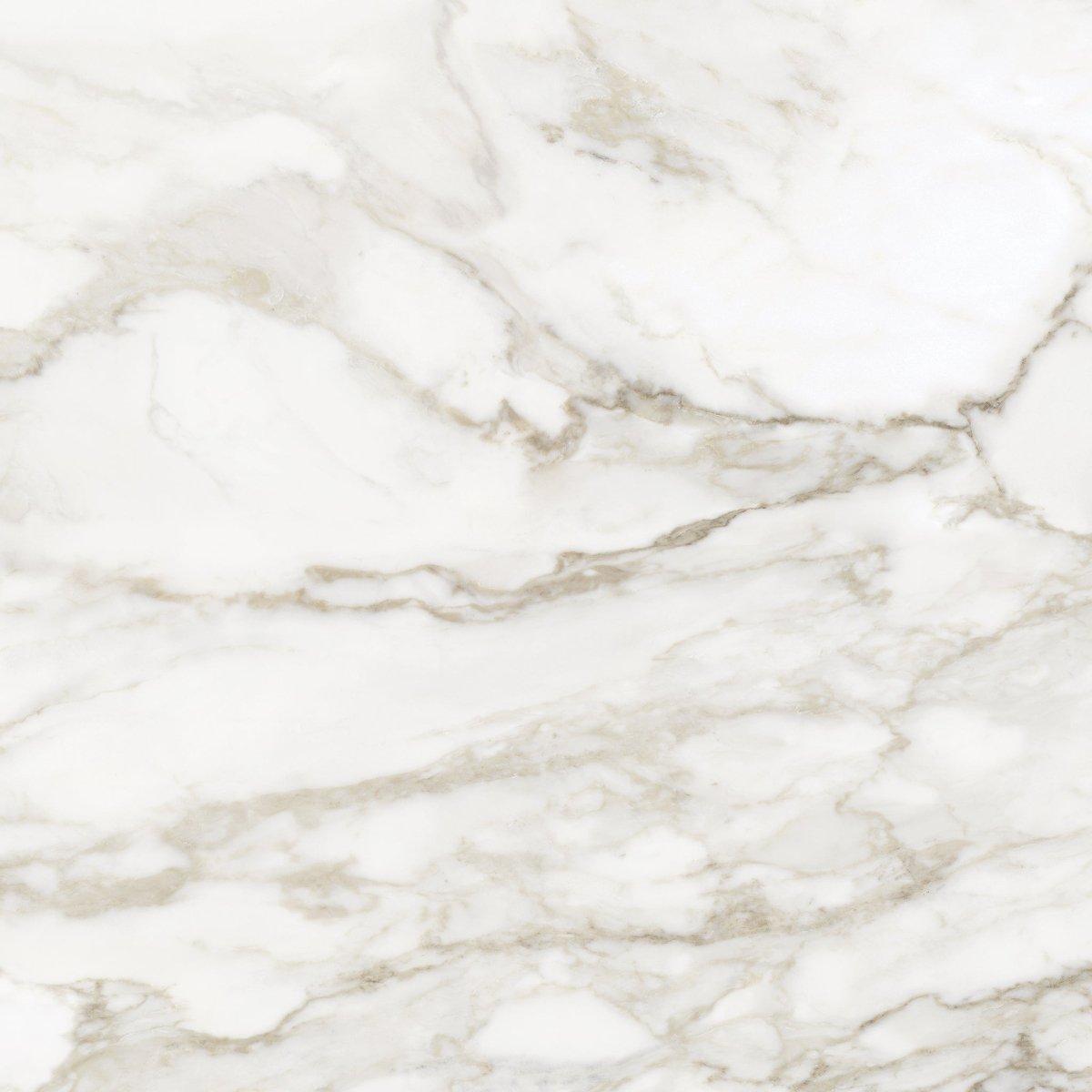 32 x 32 in. La Marca Calacatta Paonazzo Polished Rectified Glazed Porcelain Wall Tile